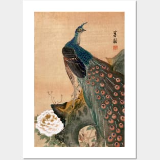 19th C. Japanese Peacock Posters and Art